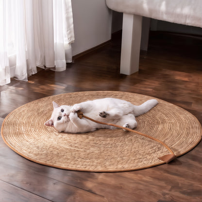 Claws™️ Cat Scratching Mat